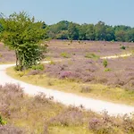 Rekerlanden 58 - De Boet Prázdninový dům
